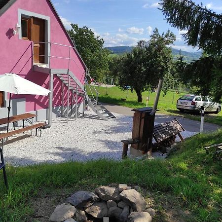 Apartman Sumava U Rybaku Volenice  Kültér fotó