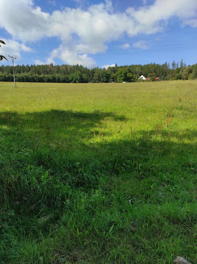 Apartman Sumava U Rybaku Volenice  Kültér fotó