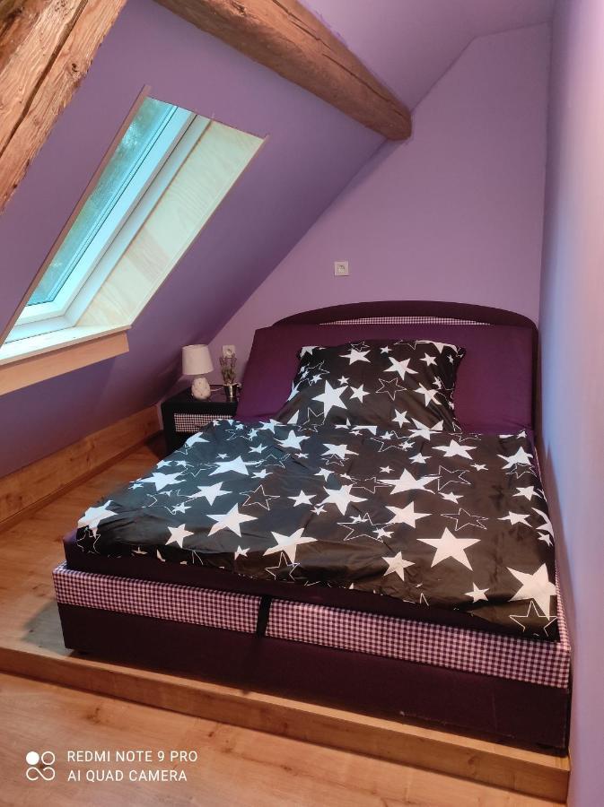 Apartman Sumava U Rybaku Volenice  Kültér fotó
